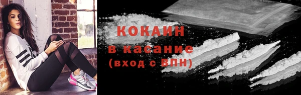 дживик Козельск