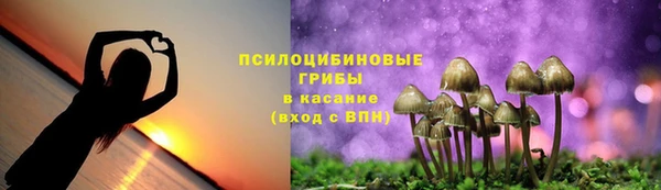 твердый Козловка
