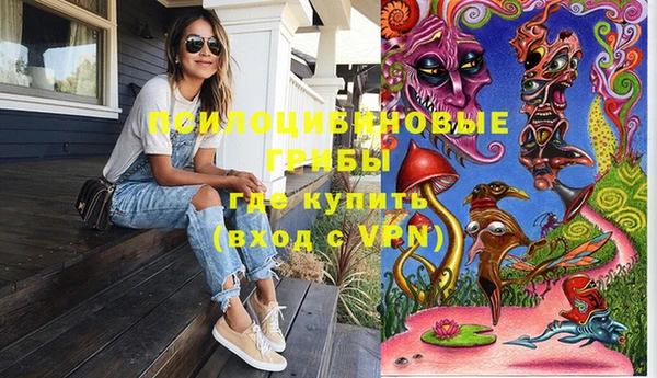 твердый Козловка