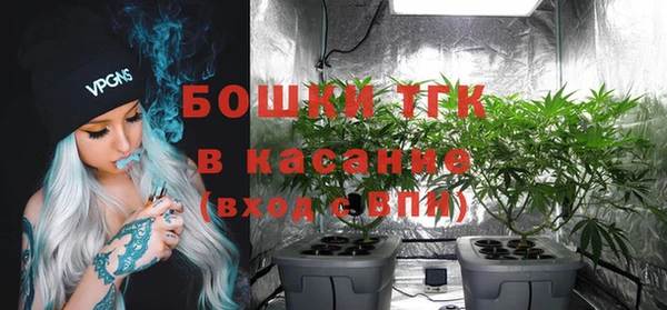 дживик Козельск