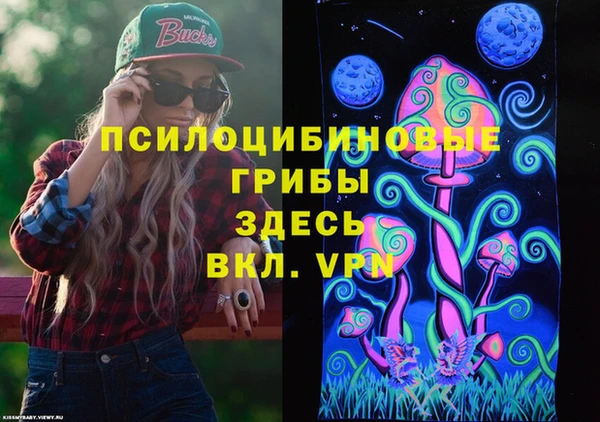 ешки Кодинск