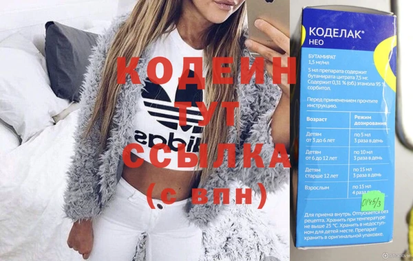 дживик Козельск