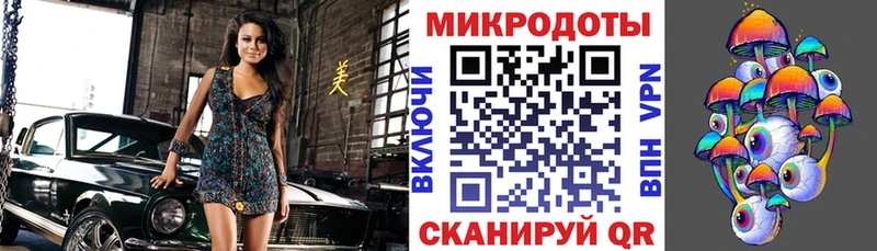 что такое   Нальчик  Псилоцибиновые грибы прущие грибы 